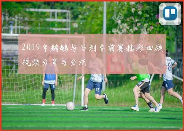 2019年鹈鹕与马刺季前赛精彩回顾视频分享与分析