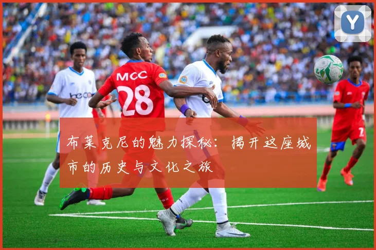 布莱克尼的魅力探秘：揭开这座城市的历史与文化之旅