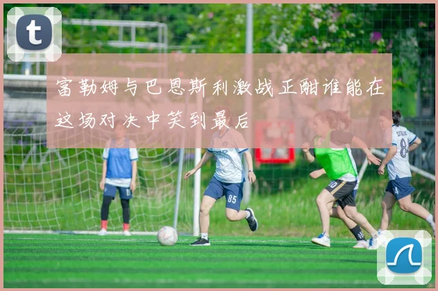 富勒姆与巴恩斯利激战正酣谁能在这场对决中笑到最后