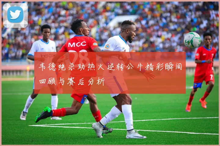 韦德绝杀助热火逆转公牛精彩瞬间回顾与赛后分析