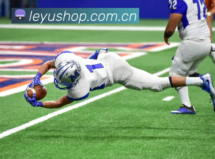 乐鱼体育平台生态图