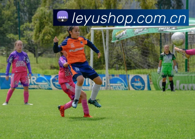 乐鱼体育全站App